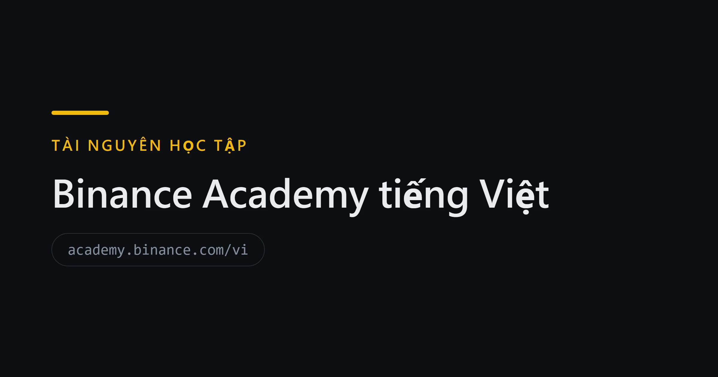 Binance Academy (tiếng Việt)
